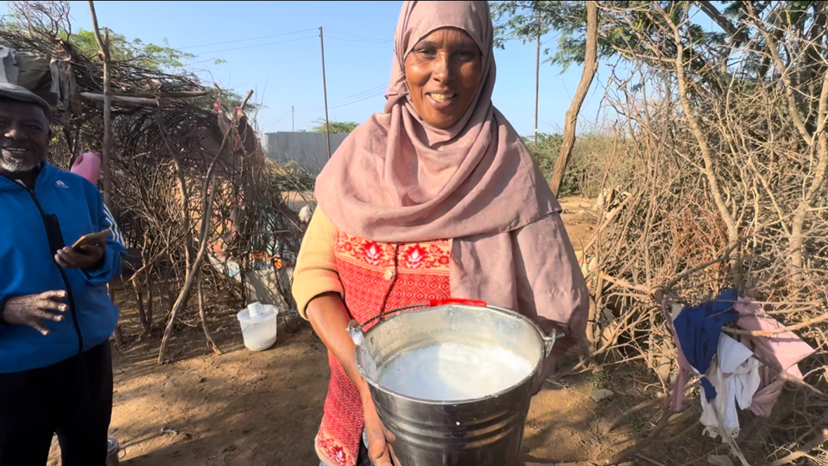 A woman holding a bucket of fresh camel milk